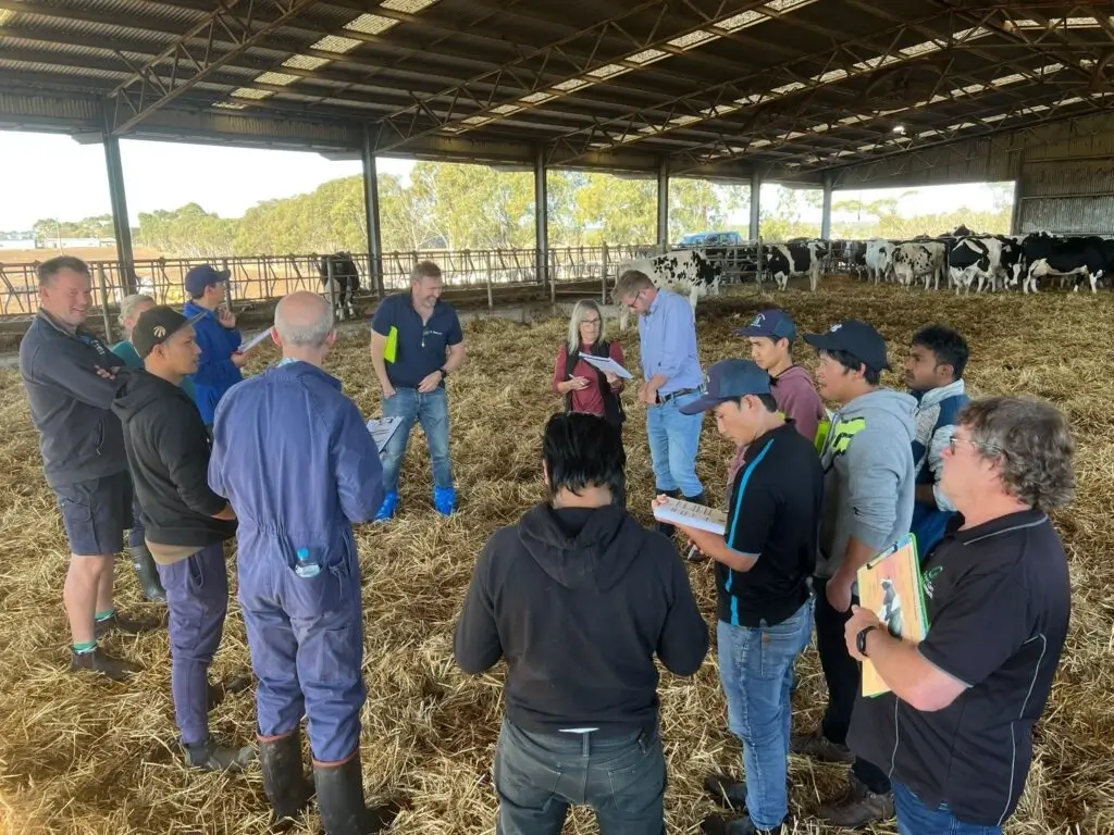 Specialised and tailored solutions made to fit the needs of your dairy farm (1)